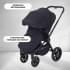 Детская коляска Rant Flex 3 в 1 RA077 Black