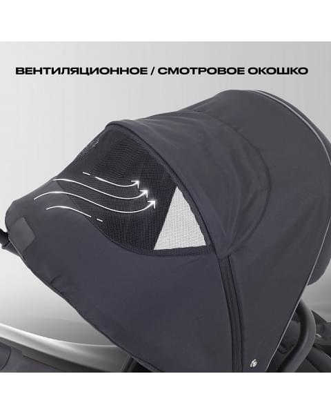 Детская коляска Rant Flex 3 в 1 RA077 Black