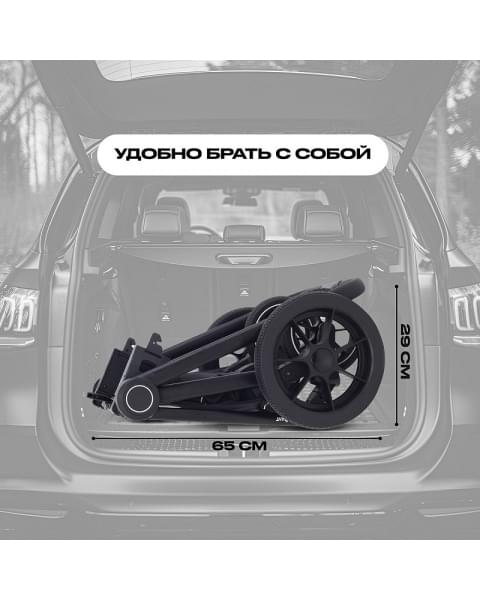 Детская коляска Rant Flex 3 в 1 RA077 Black