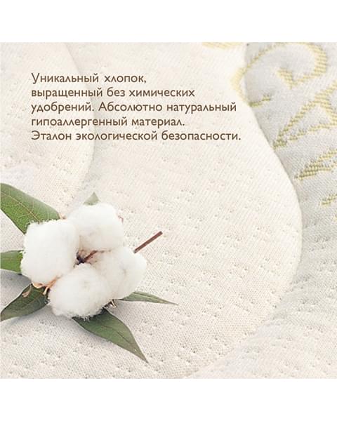 Детский матрас Plitex Organic Twin ОРГ-02/1 120х60см