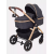 Коляска-трансформер Rant Basic Roller Gold RA161, Grey (Серый)