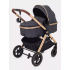 Коляска-трансформер Rant Basic Roller Gold RA161, Grey (Серый)