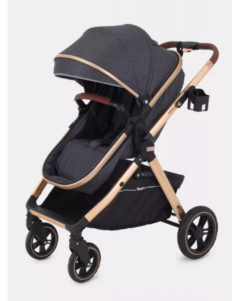 Коляска-трансформер Rant Basic Roller Gold RA161, Grey (Серый)
