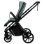 Коляска 2 в 1 Indigo STING зеленый