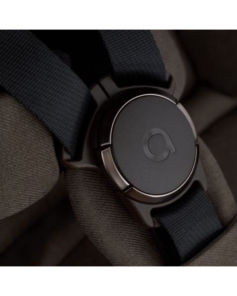 Детская коляска Anex iQ Premium 2 в 1 Bruna 2025 (iq-21)