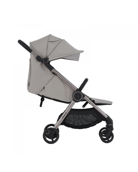 Детская коляска Anex iQ Premium 2 в 1 Silve 2025 (iq-19)