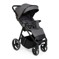 Коляска прогулочная Agex Maxi, Grey (Серый)