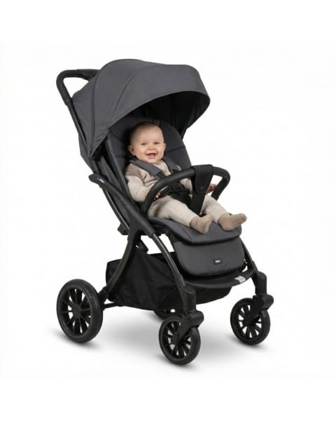 Коляска прогулочная Agex Mini All Road, Grey (Серый)