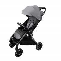 Коляска прогулочная Carrello Delta CRL-5517, Flint Grey (Серый)