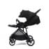 Коляска прогулочная Peppy Amici, Black / шасси Black