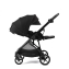 Коляска прогулочная Peppy Amici, Black / шасси Black