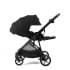 Коляска прогулочная Peppy Amici, Black / шасси Black