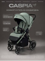 Коляска прогулочная Rant Caspia Soft Forest green