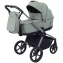 Детская коляска Rant Flex Therm Soft 4 в 1 с автокреслом Miro и базой Forest Green