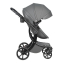 Детская коляска трансформер Farfello Aimile Spring Dark Grey ASR-2
