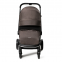 Коляска 2 в 1 Labala Raiz, Brown / Коричневый (04)
