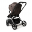 Коляска 2 в 1 Labala Raiz, Brown / Коричневый (04)