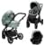 Детская коляска Noordi Fjordi V2 + Terra i-Size 3 в 1 Sage кожа