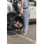Автокресло Carrello Nova с базой Isofix DK780 (0-13 кг) Black Line