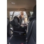 Автокресло Carrello Nova с базой Isofix DK780 (0-13 кг) Black Line