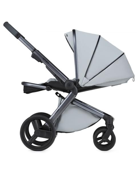 Детская коляска Anex l/type 2 в 1 lt-10t frost