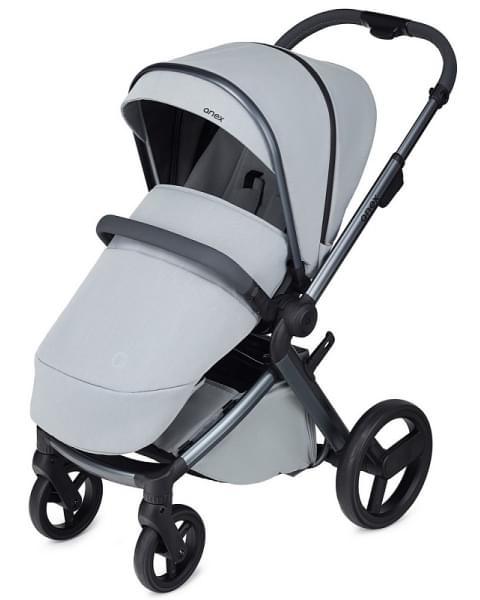 Детская коляска Anex l/type 2 в 1 lt-10t frost