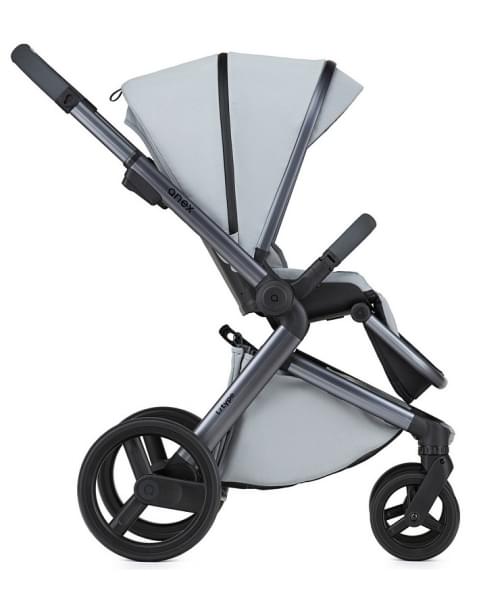 Детская коляска Anex l/type 2 в 1 lt-10t frost