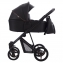 Детская коляска Bebetto Flavio Pro 2 в 1 06 черная кожа