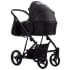 Детская коляска Bebetto Flavio Pro 2 в 1 06 черная кожа