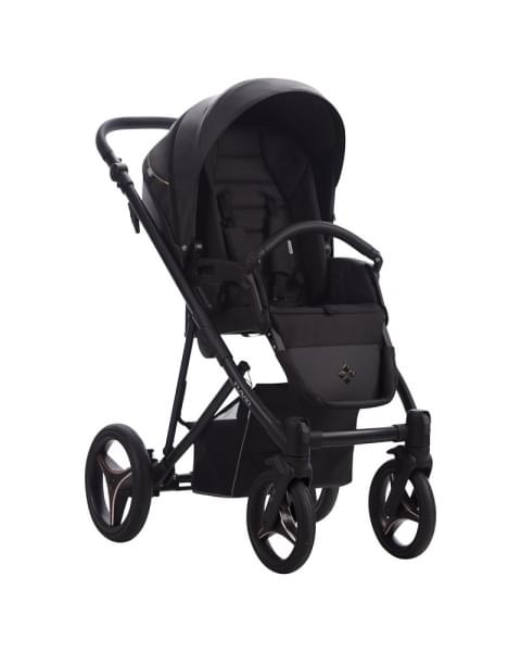Детская коляска Bebetto Flavio Pro 2 в 1 06 черная кожа