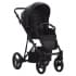 Детская коляска Bebetto Flavio Pro 2 в 1 06 черная кожа