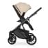 Детская коляска Riko Basic Montana Ecco 3 в 1 15 Ivory beige