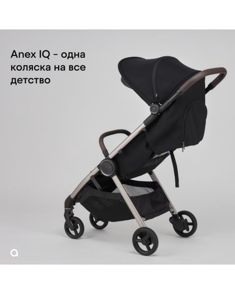 Коляска 2 в 1 Anex iQ Premium New, Smoky / Черный (iQ-06-NT)