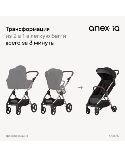 Коляска 2 в 1 Anex iQ Premium New, Smoky / Черный (iQ-06-NT)