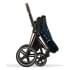 Коляска 2 в 1 Cybex Priam IV Jewels of Nature/Rosegold