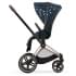 Коляска 2 в 1 Cybex Priam IV Jewels of Nature/Rosegold