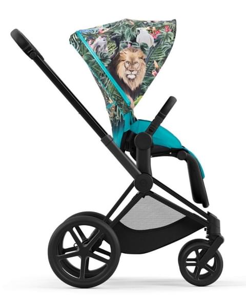 Коляска 2 в 1 Cybex Priam IV We The Best/Matt Black