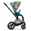 Коляска 2 в 1 Cybex Priam IV We The Best/Matt Black