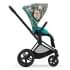 Коляска 2 в 1 Cybex Priam IV We The Best/Matt Black