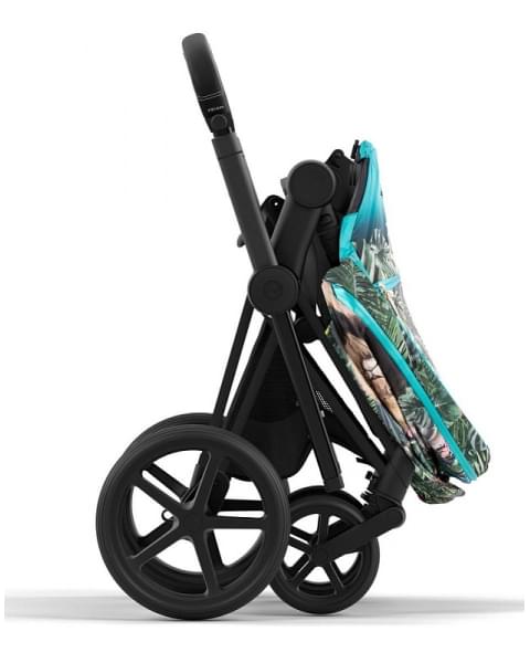Коляска 2 в 1 Cybex Priam IV We The Best/Matt Black