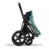 Коляска 2 в 1 Cybex Priam IV We The Best/Matt Black