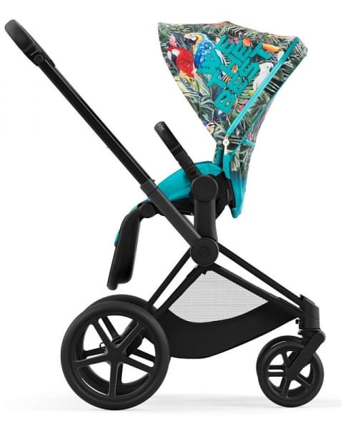 Коляска 2 в 1 Cybex Priam IV We The Best/Matt Black