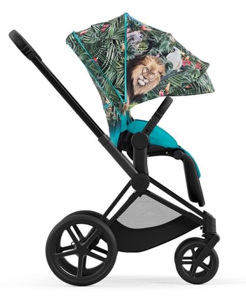 Коляска 2 в 1 Cybex Priam IV We The Best/Matt Black