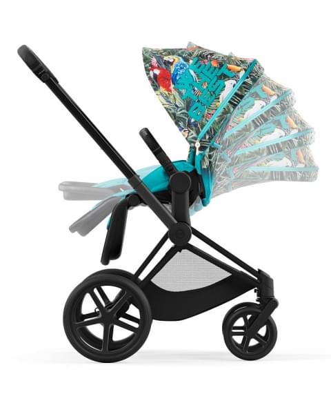 Коляска 2 в 1 Cybex Priam IV We The Best/Matt Black