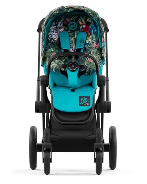 Коляска 2 в 1 Cybex Priam IV We The Best/Matt Black