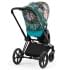 Коляска 2 в 1 Cybex Priam IV We The Best/Matt Black