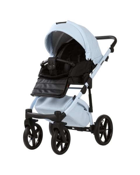 Коляска Adamex Chantal Pro Natura 3 в 1 - CN-1-SKY