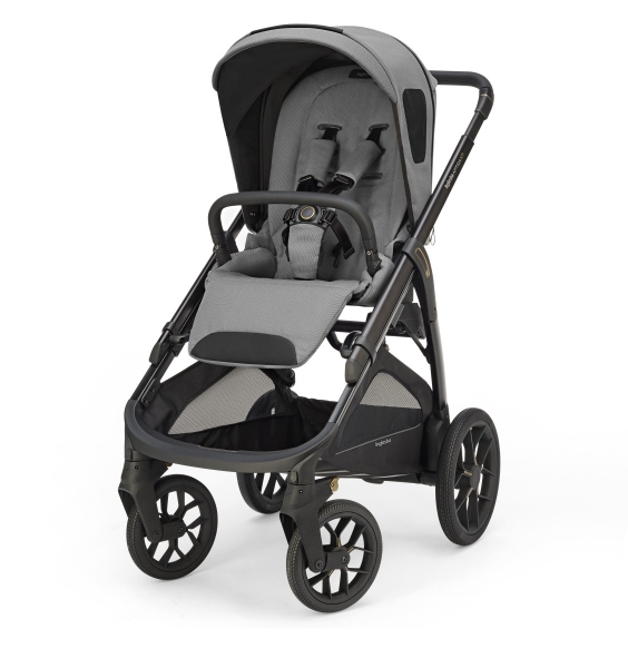 Коляска прогулочная Inglesina Aptica XT 2025, Canyon Grey AG70S0CNG