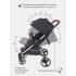 Коляска прогулочная для двойни Mowbaby Tandem Black
