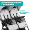 Прогулочная коляска для двойни Chicco Ohlala Twin, Silver Cat (Серый)